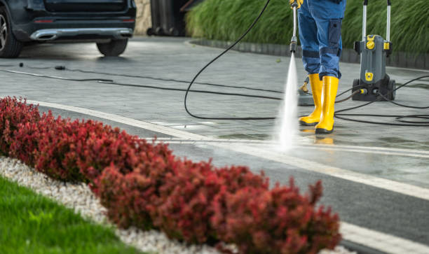 Best Roof Washing  in Rainbow Springs, FL